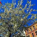 In Frogner/solli Close To Royal Castle * Осло