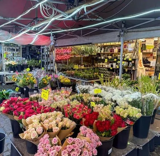 In Frogner/solli Close To Royal Castle * Oslo