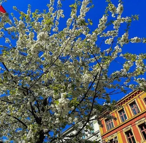 In Frogner/solli Close To Royal Castle * Oslo