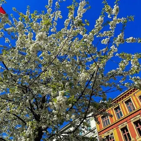 In Frogner/solli Close To Royal Castle * Oslo